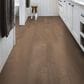 Shaw Cattitude Mindful 7" x 48" Luxury Vinyl Plank, , large