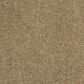 Shaw Barracan Classic I Carpet in Navajo, , large