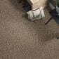 Shaw Break Away Berber Carpet in Safari, , large