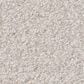 Shaw You Got This II Carpet in Snowfall, , large