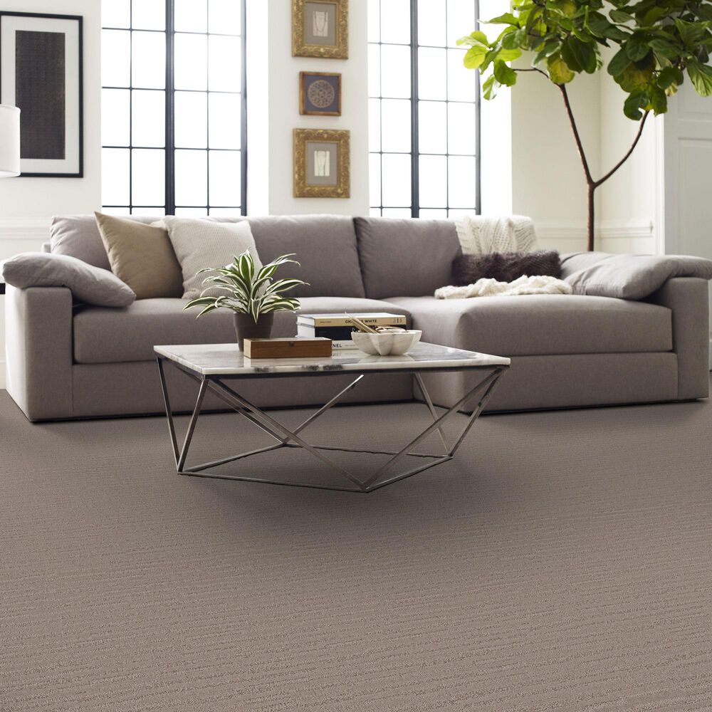 Anderson Tuftex Calais Stil Carpet in Ridgeview, , large