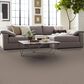 Anderson Tuftex Calais Stil Carpet in Ridgeview, , large