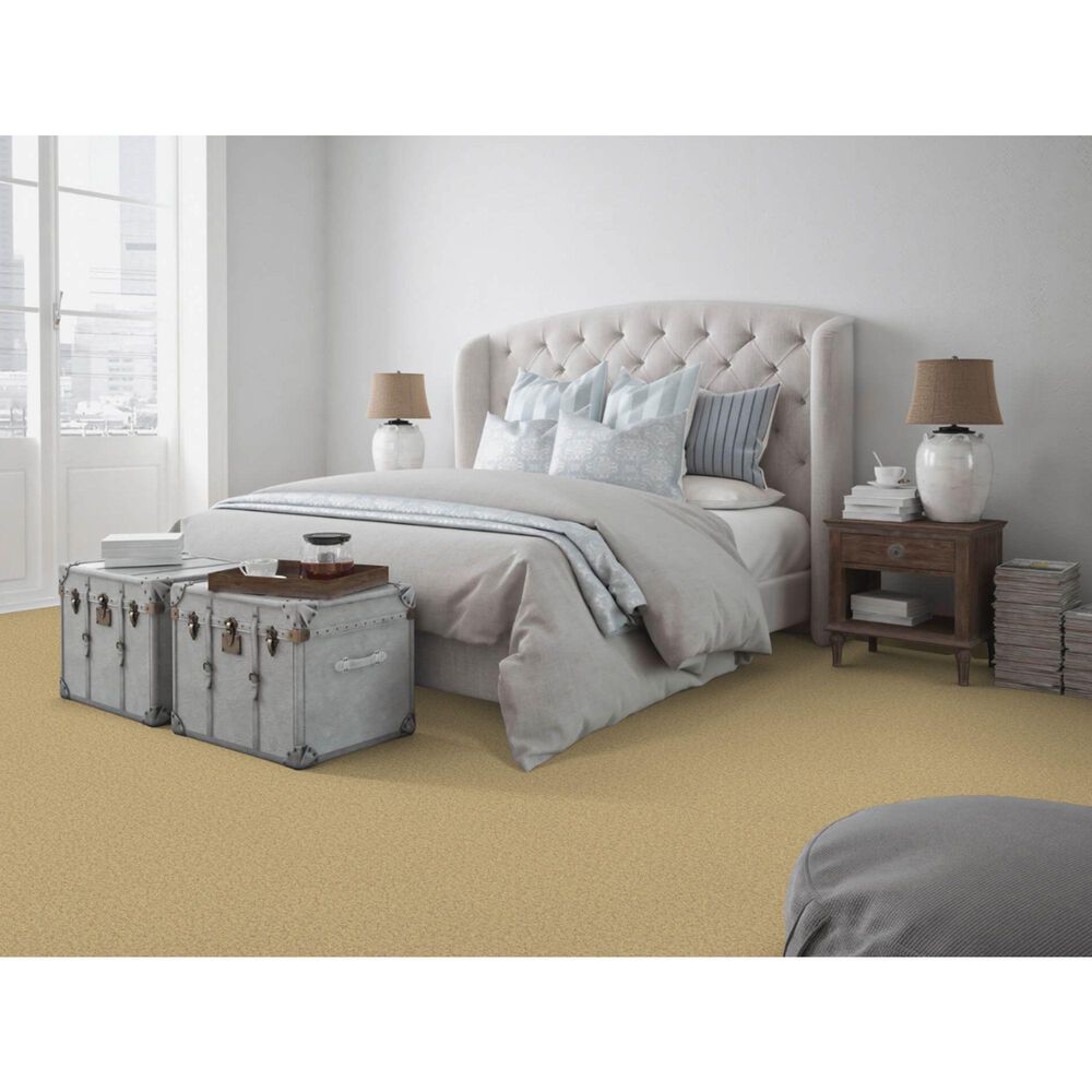 Dixie Home Simplicity Carpet in Pebble Mosaic, , large