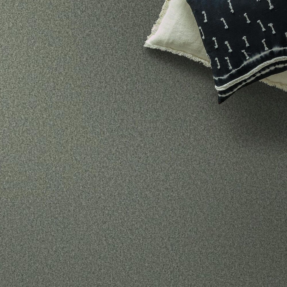 Shaw Tonal Comfort I Carpet in Meadow, , large