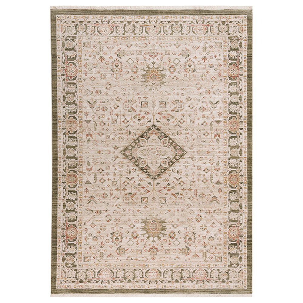 RIZZY Iconic Oriental 3"11" x 5"6" Neutral, Brown and Green Area Rug, , large
