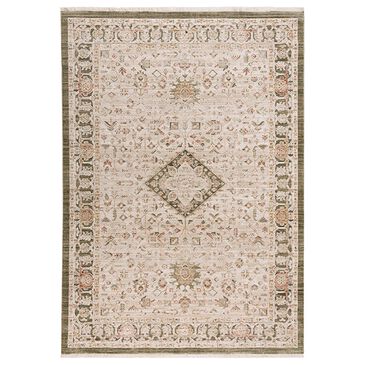 RIZZY Iconic Oriental 3"11" x 5"6" Neutral, Brown and Green Area Rug, , large