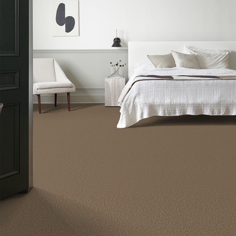 Shaw Posh Life Carpet in Mission Ridge, , large