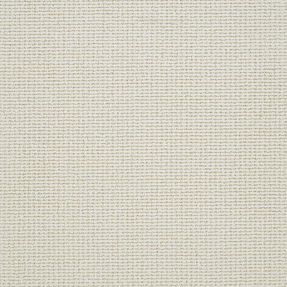 Dixie Home Pleasant Valley Carpet in Sunset, , large