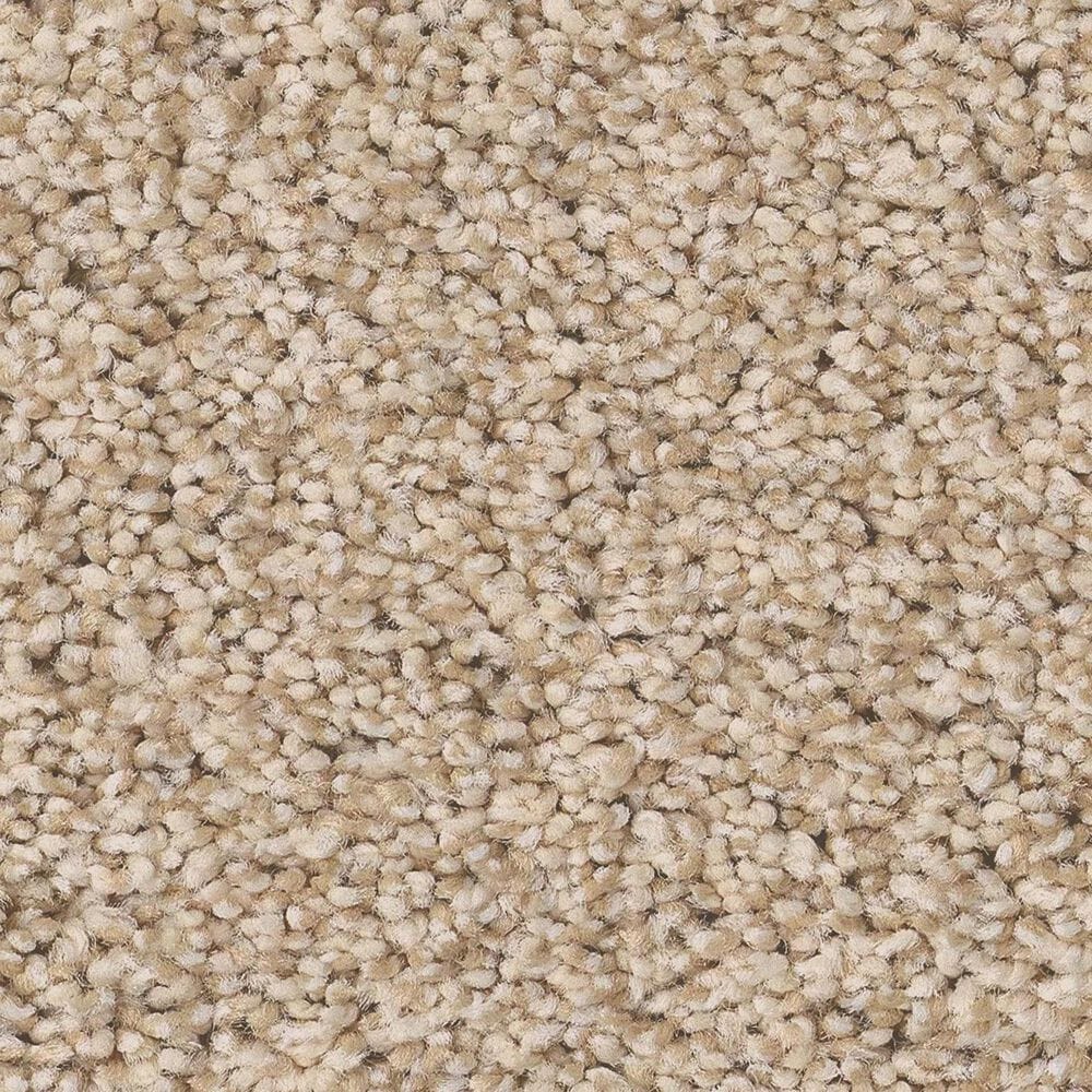 Anderson Tuftex Fabulous Carpet in Down Home, , large