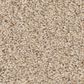 Anderson Tuftex Fabulous Carpet in Down Home, , large