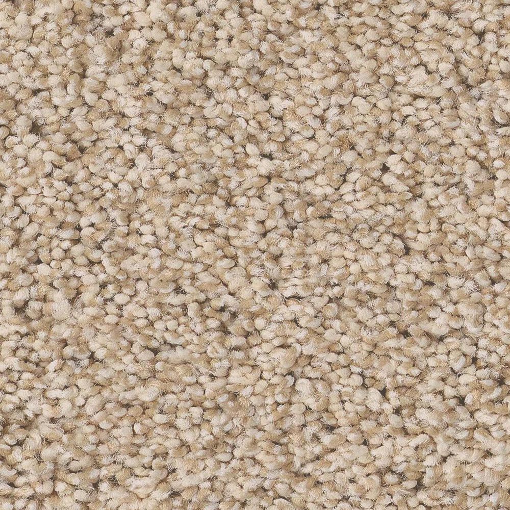 Anderson Tuftex Fabulous Carpet in Down Home, , large