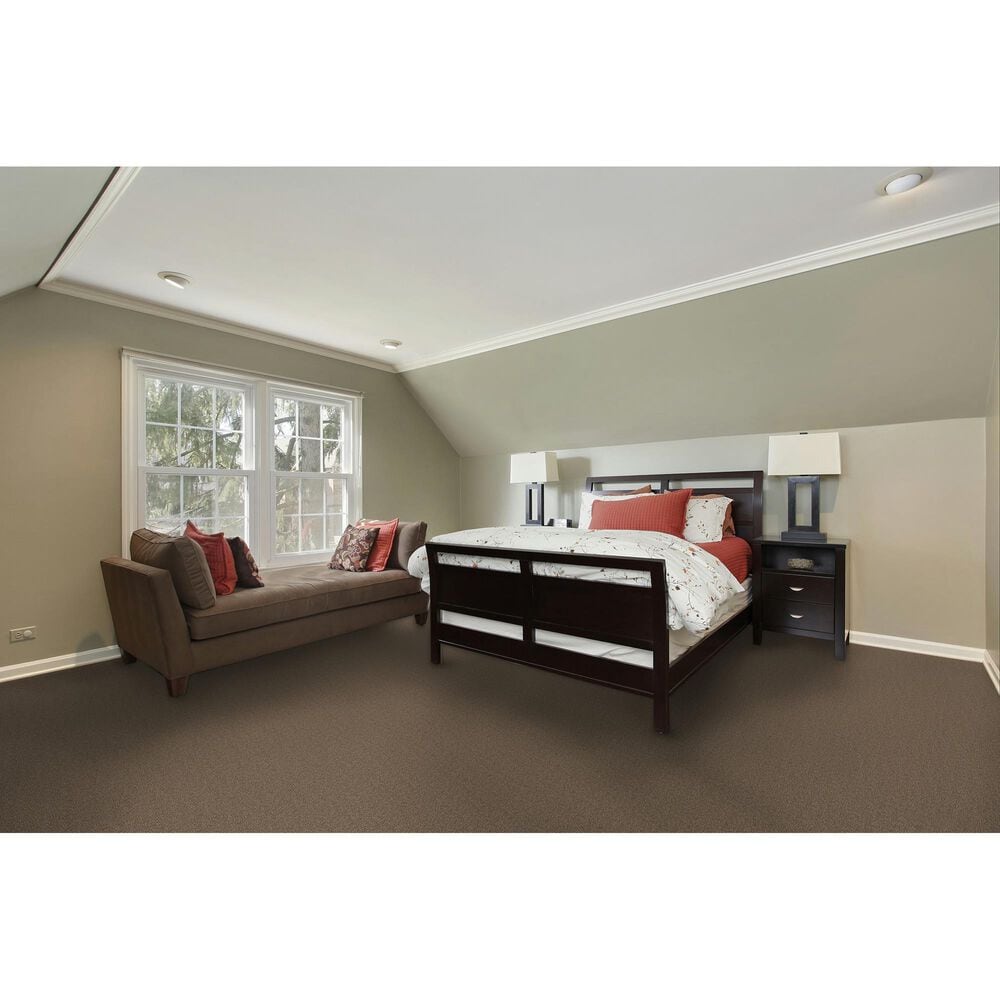 Dream Weaver Cape Cod Carpet in Cocoa, , large