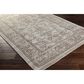 Surya Hightower HTW-3003 4" x 6" Gray, Camel and Brown Area Rug, , large