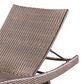 Noble House Salem Patio Chaise Lounge in Mixed Mocha (Set of 2), , large