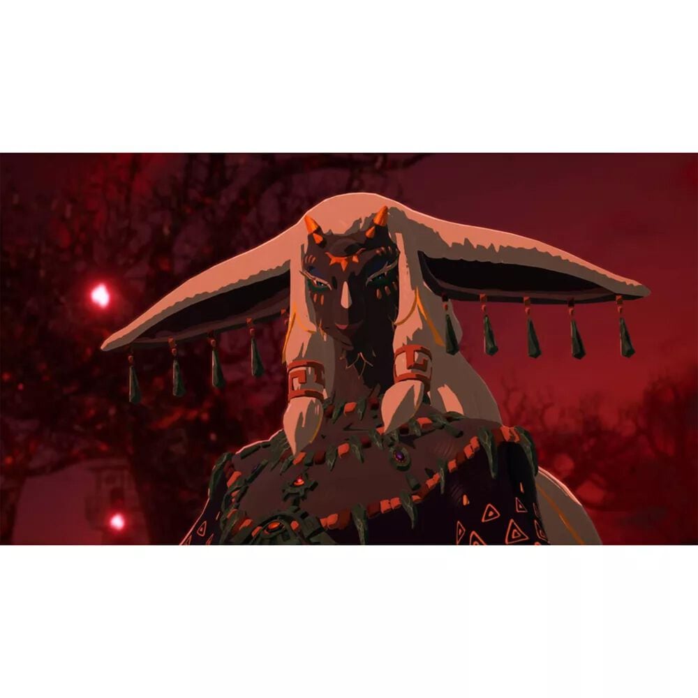 Hyrule Warriors: Age of Imprisonment - Nintendo Switch 2, , large