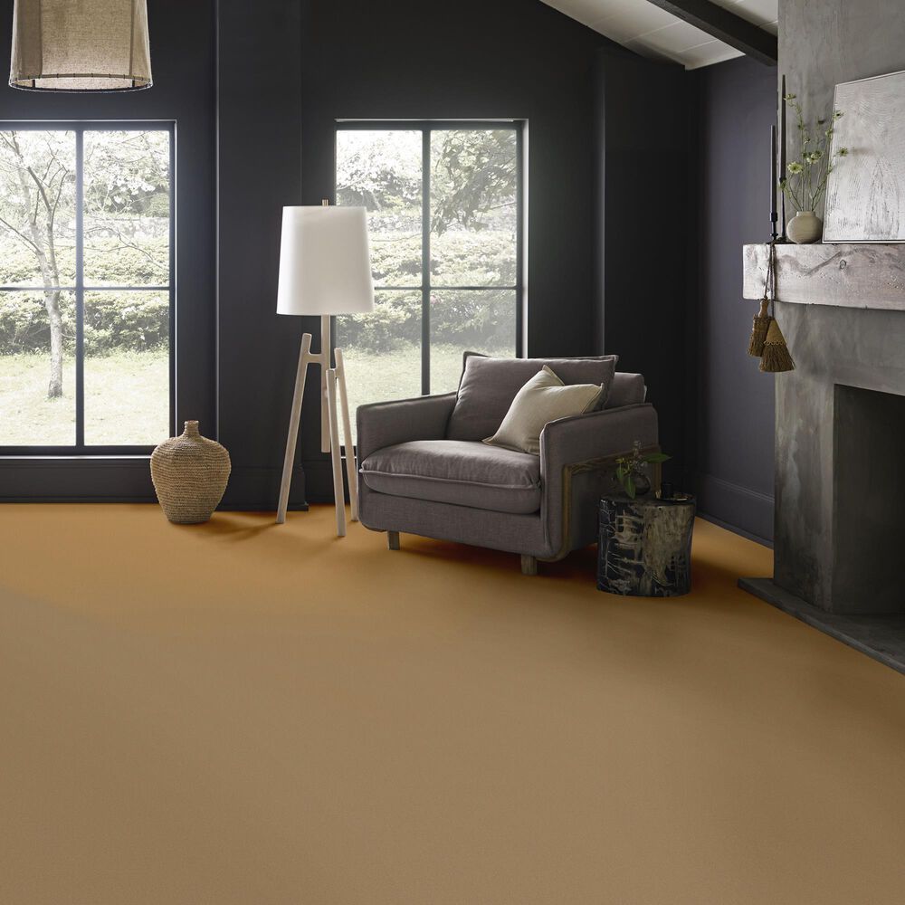 Anderson Tuftex Finery Carpet in Amber Wave, , large
