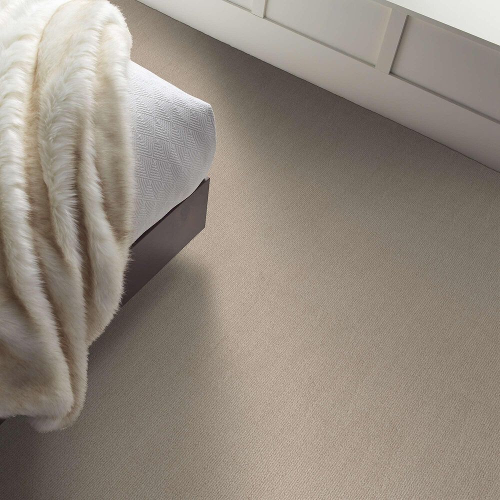 Shaw Sierra Vista Carpet in Passageway, , large
