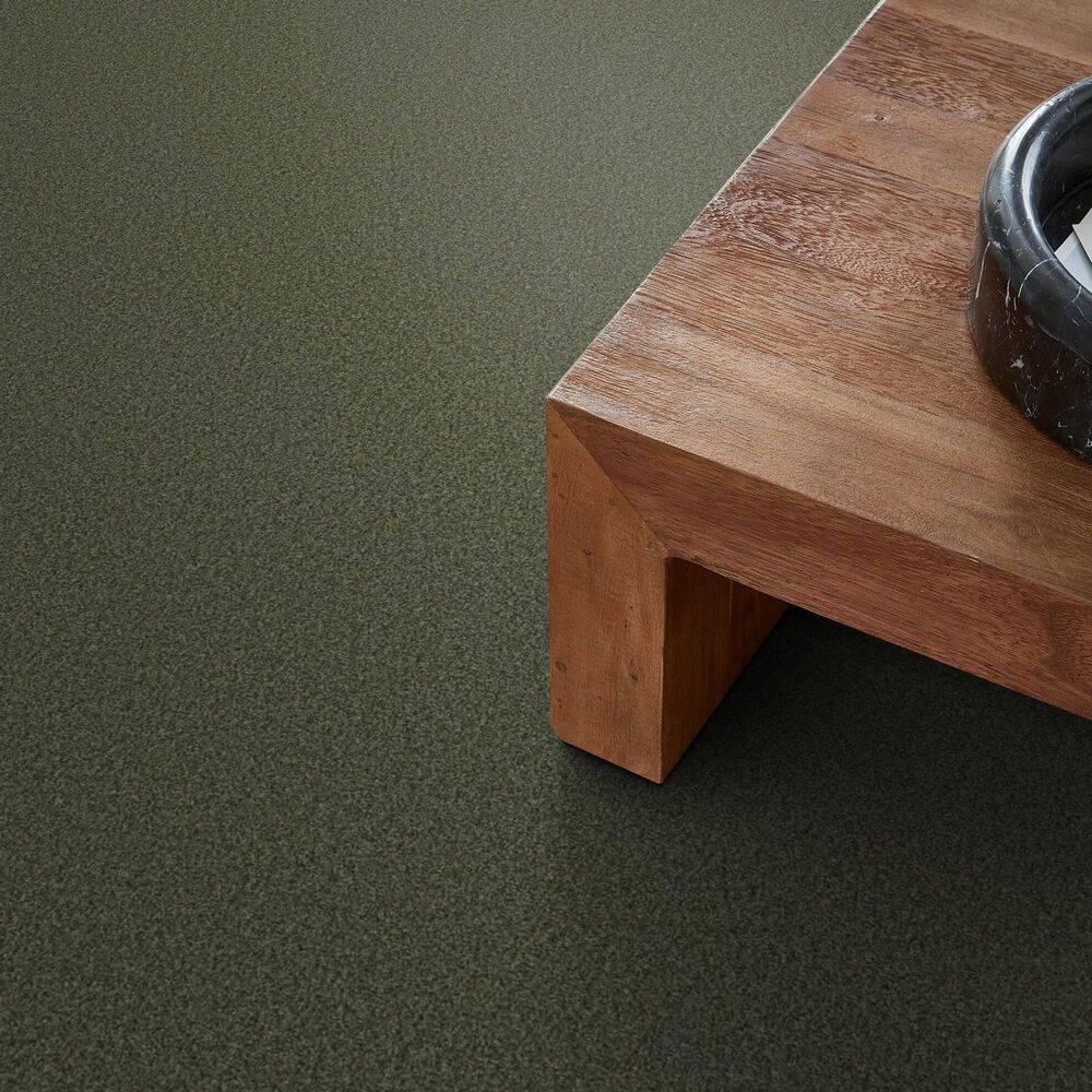 Shaw Tonal Comfort Blue Carpet in Olive Grove, , large
