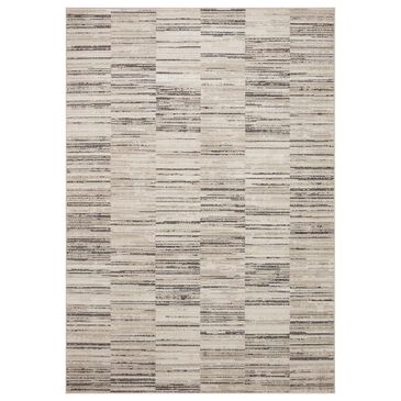 Loloi Darby 9"2" x 13" Charcoal and Sand Area Rug, , large