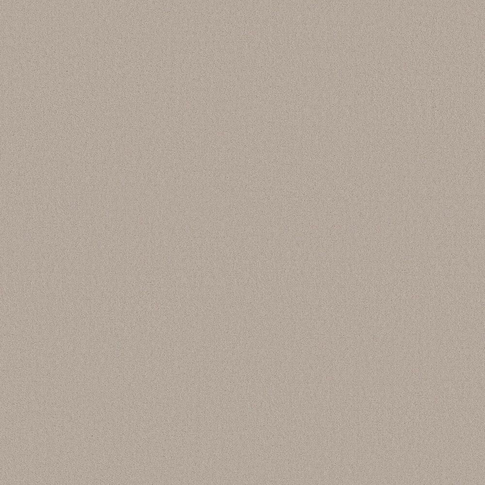 Anderson Tuftex Finery Carpet in First Frost, , large