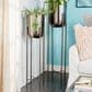Maple and Jade Dome Indoor/Outdoor Planter with Removable Stand in Polished Black (Set of 2), , large