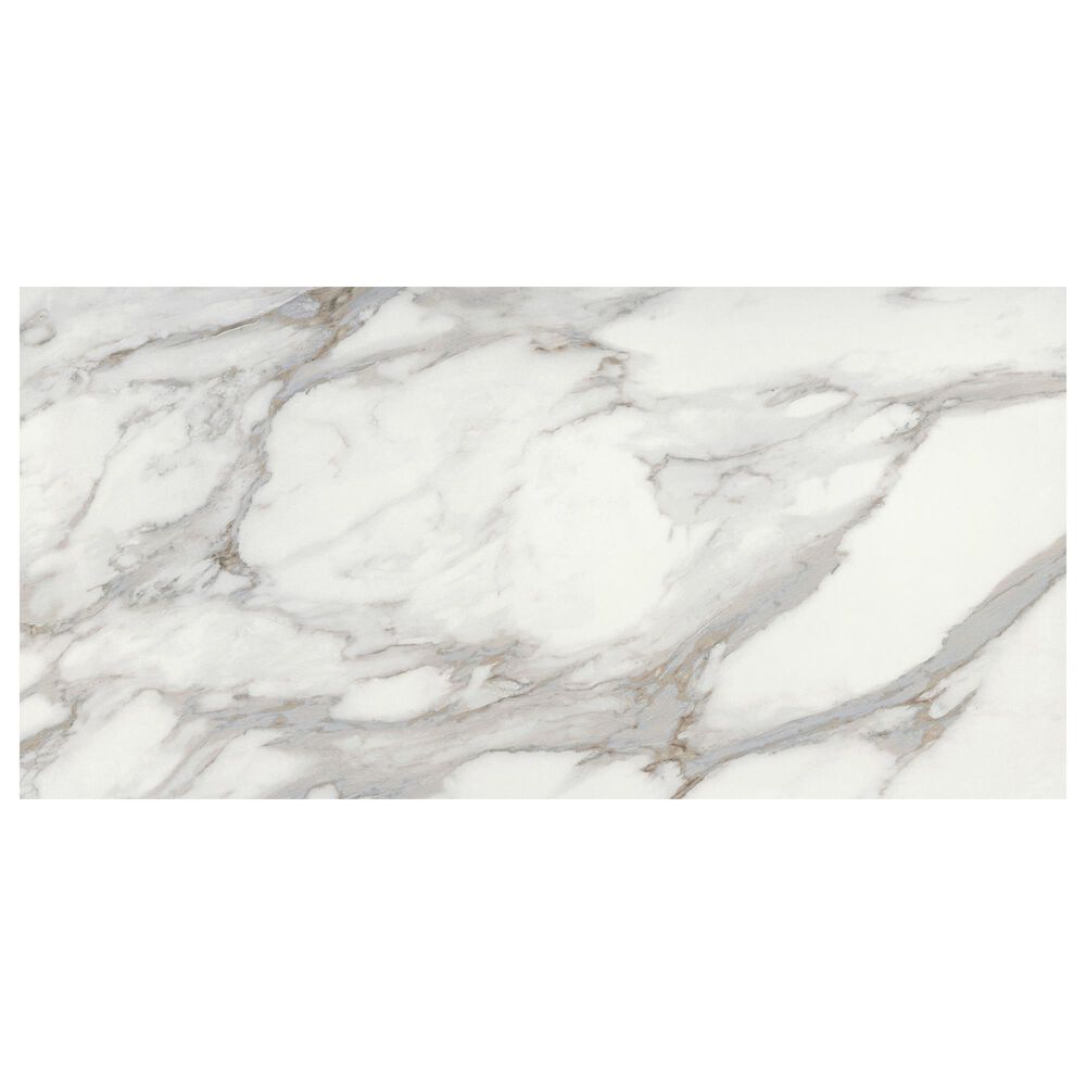 Emser Swiss II Rhone 24" x 47" Porcelain Tile, , large