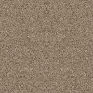 Dixie Home Winding Creek Premier Carpet in Rattan, , large