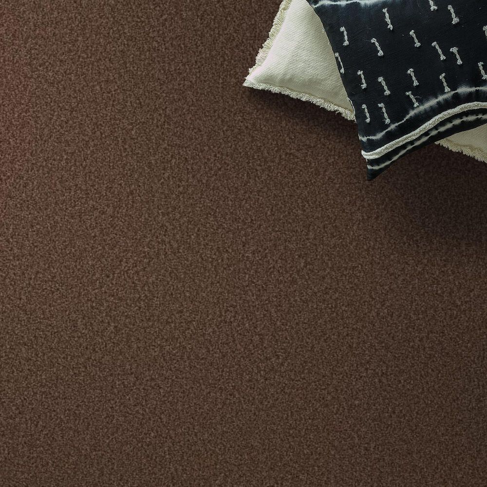 Shaw Tonal Comfort Blue Carpet in Chili, , large