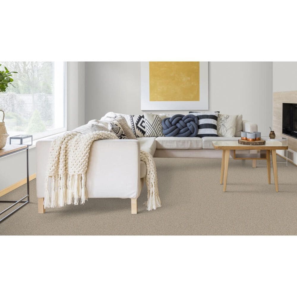 Dixie Home Devotion Carpet in Cork, , large