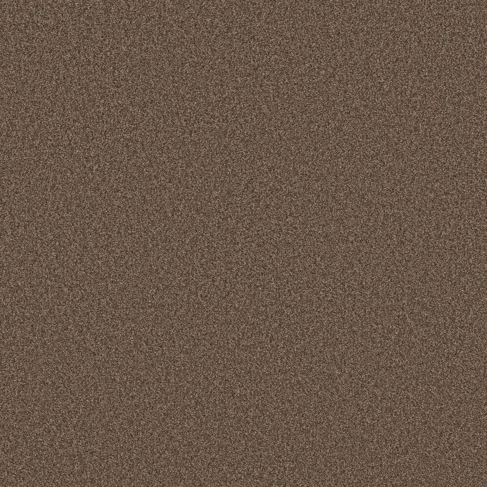 Shaw Pure Comfort II Carpet in Cliff Hiking, , large