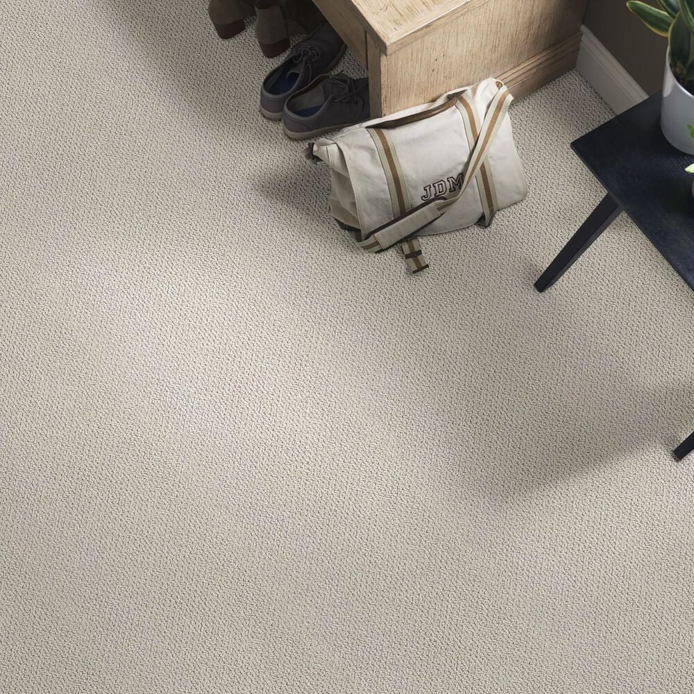 Anderson Tuftex Crafted Carpet in Classic, , large