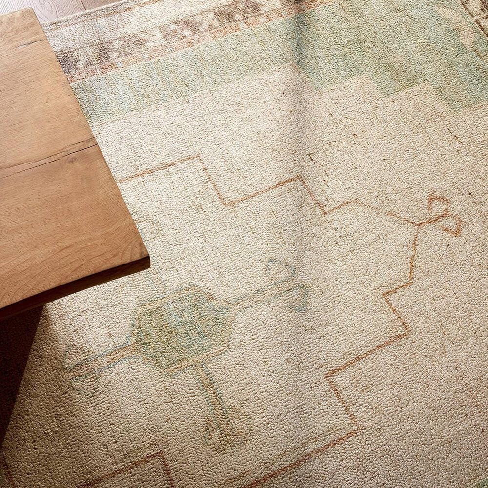 Jaipur Casen Enigma Tan and Multicolor 7'9" x 9'9" Area Rug, , large