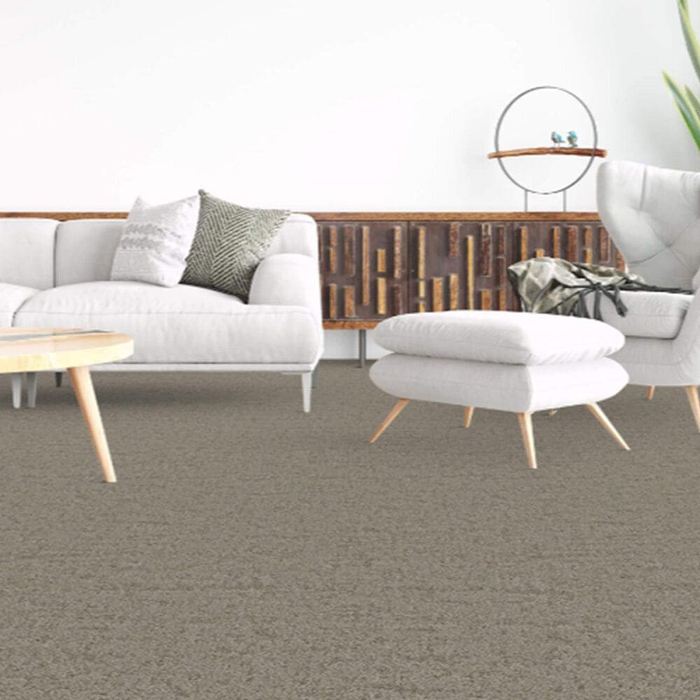 Dixie Home Genuine Carpet in Undeniable, , large