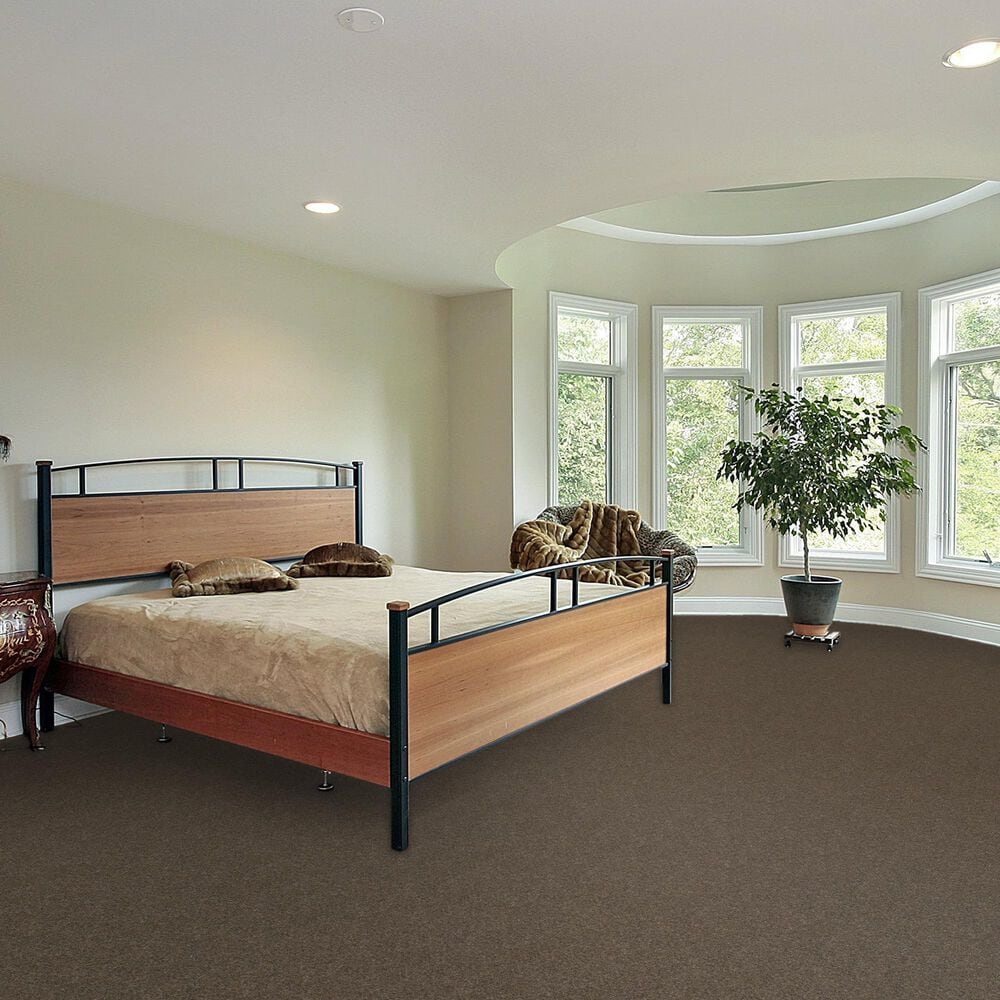 Dream Weaver Serene II Carpet in Walnut Grove, , large