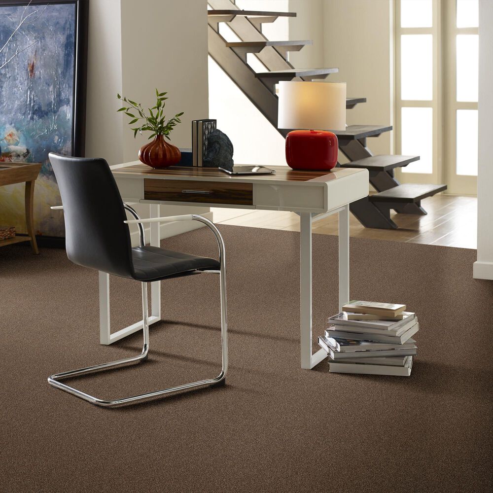 Anderson Tuftex Caress Cozy Harbor II Carpet in Raw Wood, , large