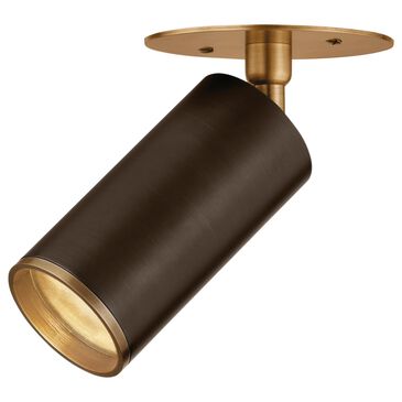 Troy Lighting Caleb 1-Light Flush Mount in Patina Brass and Bronze, , large