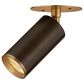 Troy Lighting Caleb 1-Light Flush Mount in Patina Brass and Bronze, , large