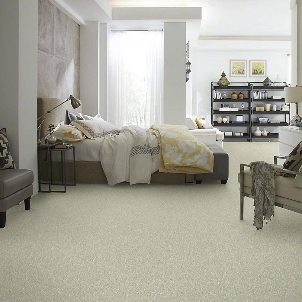 Anderson Tuftex Barracan Classic II Carpet in Celadon, , large