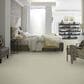 Anderson Tuftex Barracan Classic II Carpet in Celadon, , large