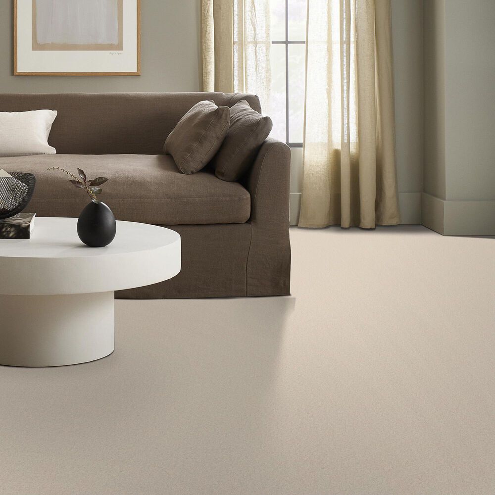 Anderson Tuftex Elegant Beauty Carpet in Angora, , large