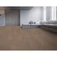 Herregan Largo Brazilian Dove Grey Oak Hardwood, , large