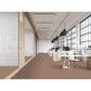 Masland Fascinating Carpet in New Penny, , large