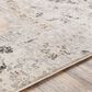 Surya Indigo IGO-2318 6"9" x 9" Gray, Beige and White Area Rug, , large