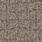 Shaw Path Home Carpet in Chic Greige, , large