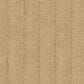 Anderson Tuftex Velluto Carpet in Crema, , large
