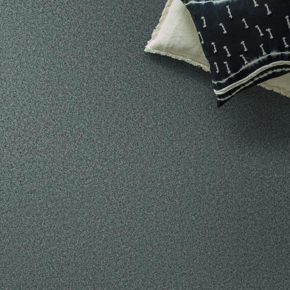 Anderson Tuftex Fabulous Carpet in Splashy, , large