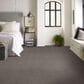 Shaw Grand Outlook Carpet in Homestead, , large
