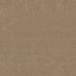 Shaw Easy Spirit II 12" Carpet in Stone House, , large