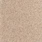 Dixie Home Bella Carpet in Fetch, , large