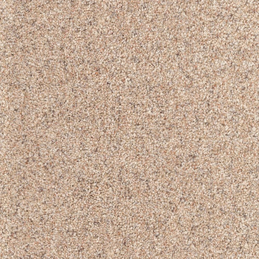 Dixie Home Bella Carpet in Fetch, , large